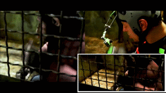 猩球崛起幕后动捕